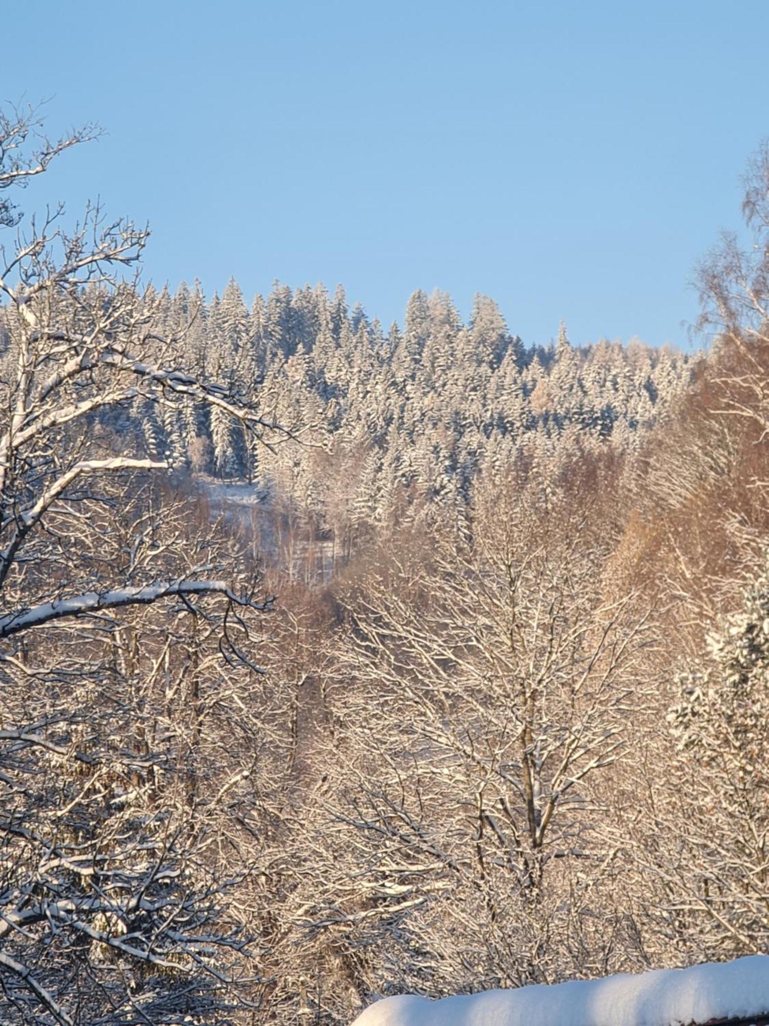 Sieraton Pokoje I Apartament Stronie Śląskie Exterior foto